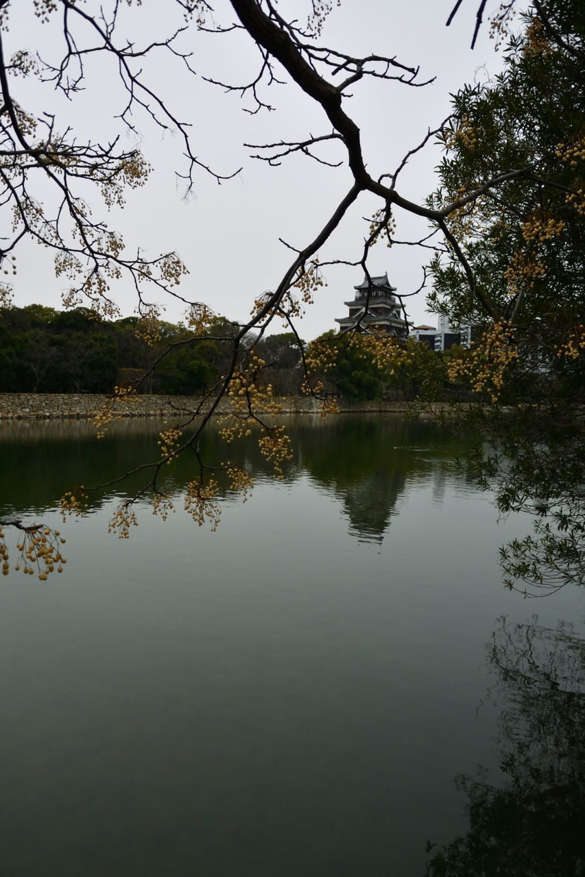 f:id:HIDE_Verdad:20180201235558j:plain