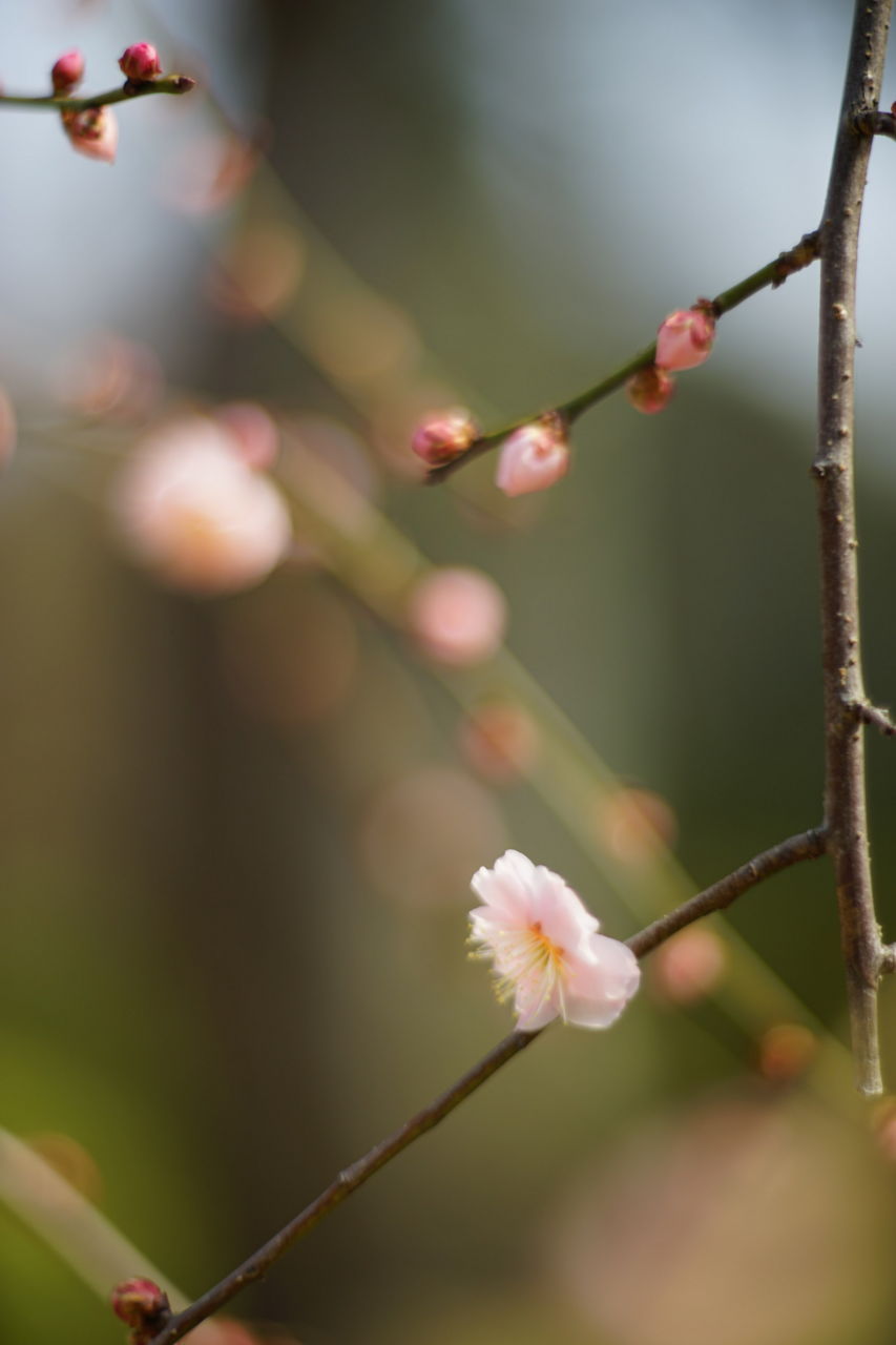 f:id:HIDE_Verdad:20180225004455j:plain