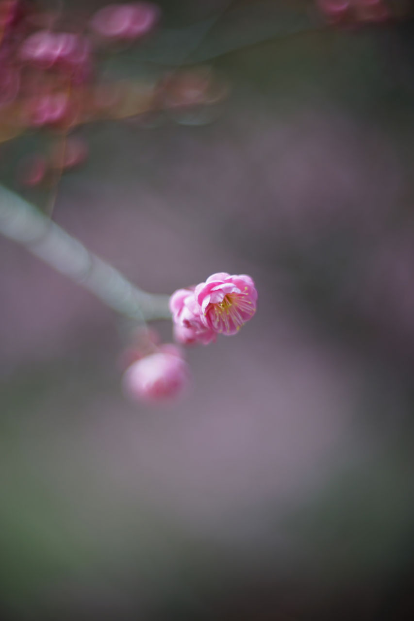 f:id:HIDE_Verdad:20180225004458j:plain