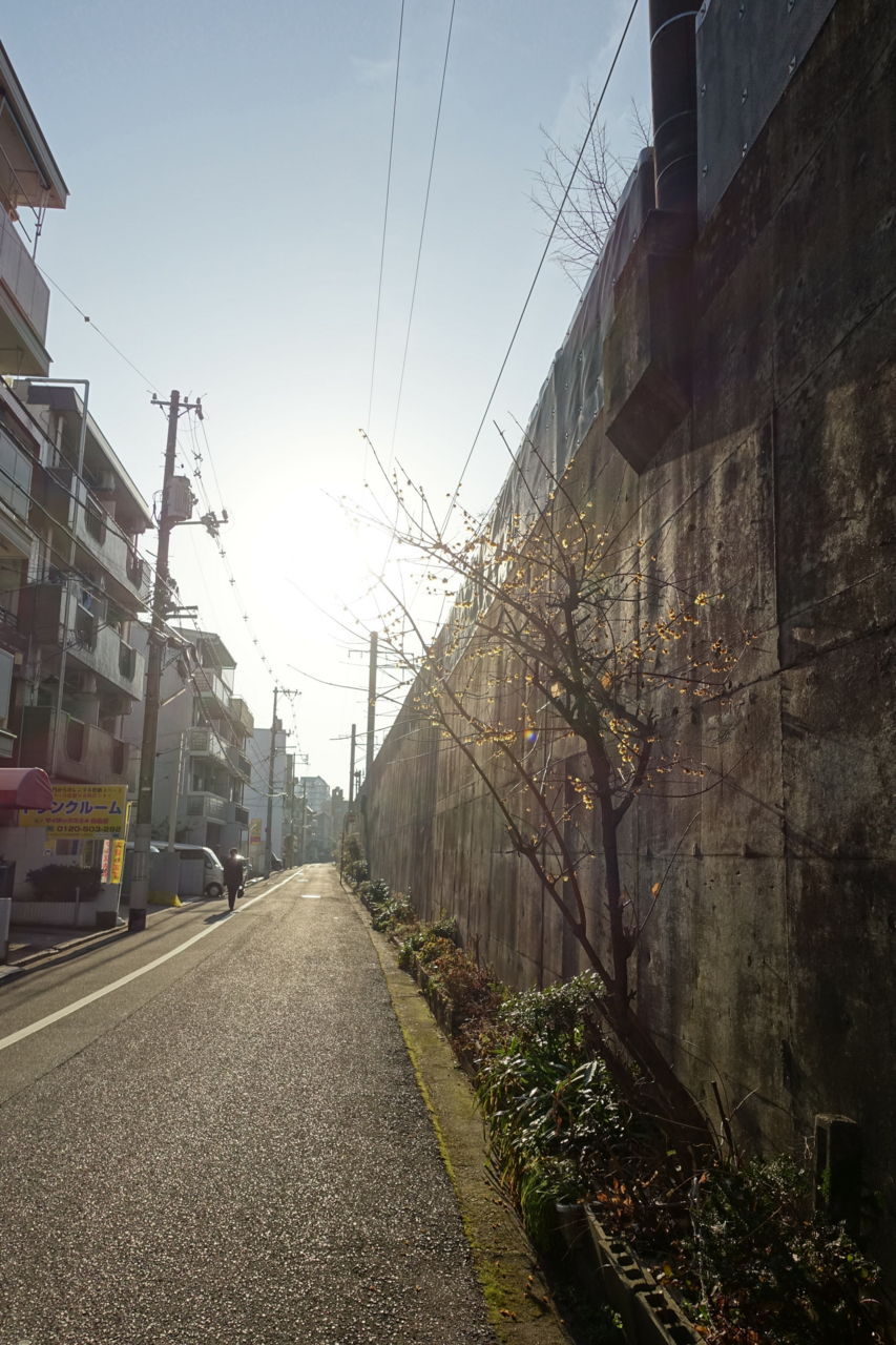 f:id:HIDE_Verdad:20180227234504j:plain