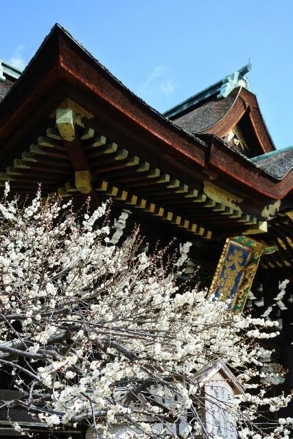 f:id:HIDE_Verdad:20180302224312j:image