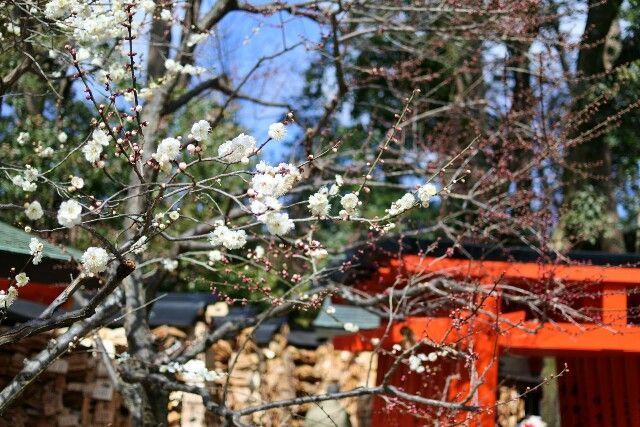 f:id:HIDE_Verdad:20180302224402j:image