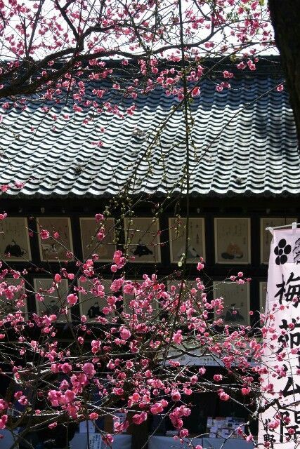 f:id:HIDE_Verdad:20180302224557j:image