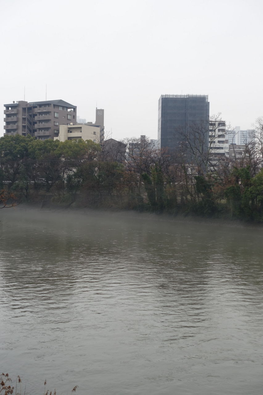 f:id:HIDE_Verdad:20180305235154j:plain