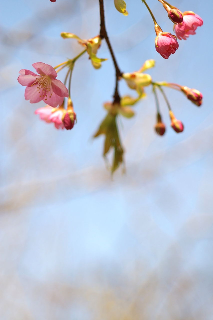 f:id:HIDE_Verdad:20180311233451j:plain f:id:HIDE_Verdad:20180311233451j:plain