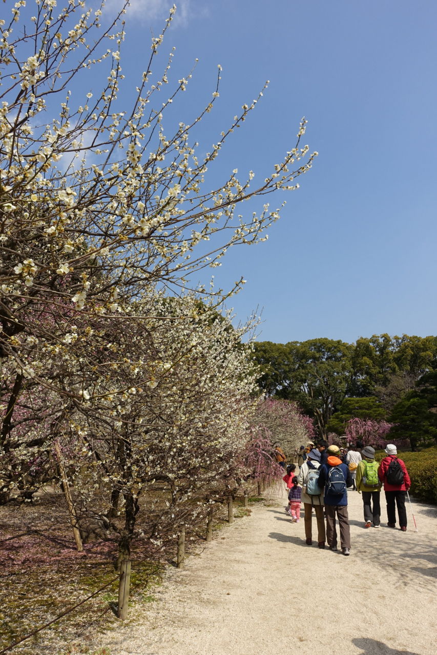 f:id:HIDE_Verdad:20180311233454j:plain f:id:HIDE_Verdad:20180311233454j:plain