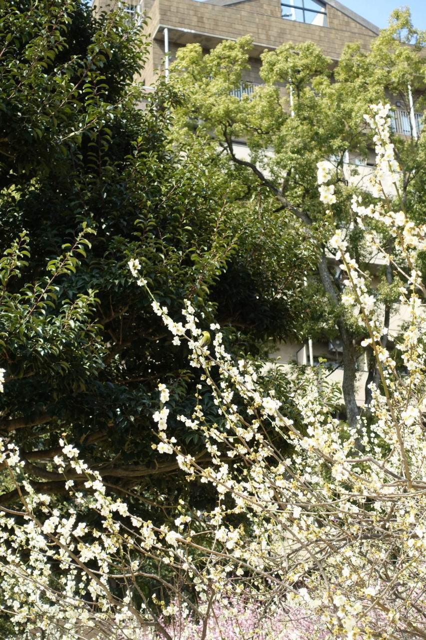 f:id:HIDE_Verdad:20180311233500j:plain f:id:HIDE_Verdad:20180311233500j:plain