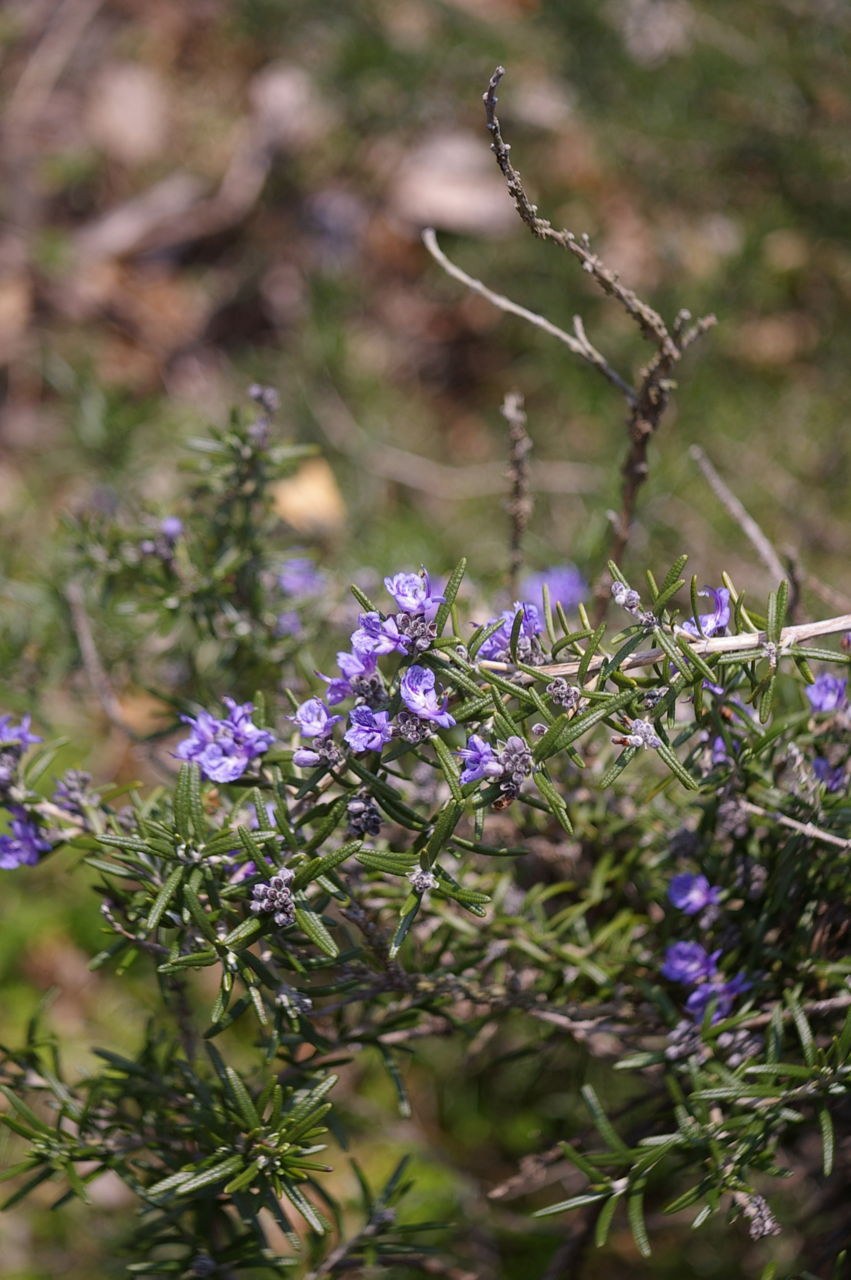 f:id:HIDE_Verdad:20180311233506j:plain f:id:HIDE_Verdad:20180311233506j:plain