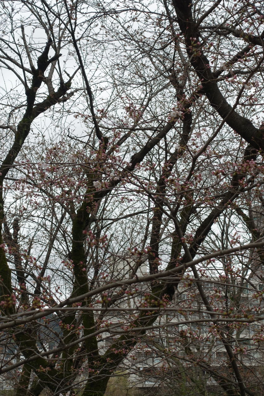 f:id:HIDE_Verdad:20180321000252j:plain