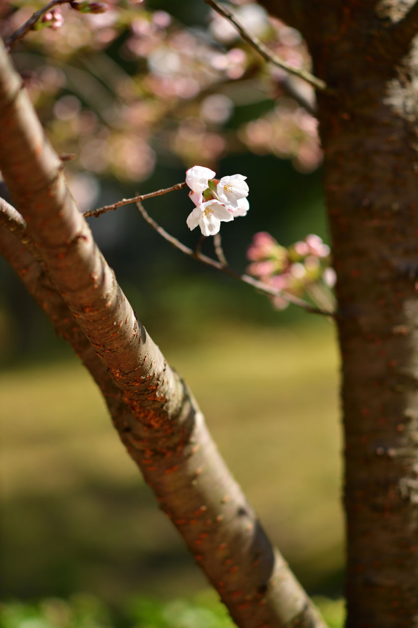 f:id:HIDE_Verdad:20180324233353j:plain