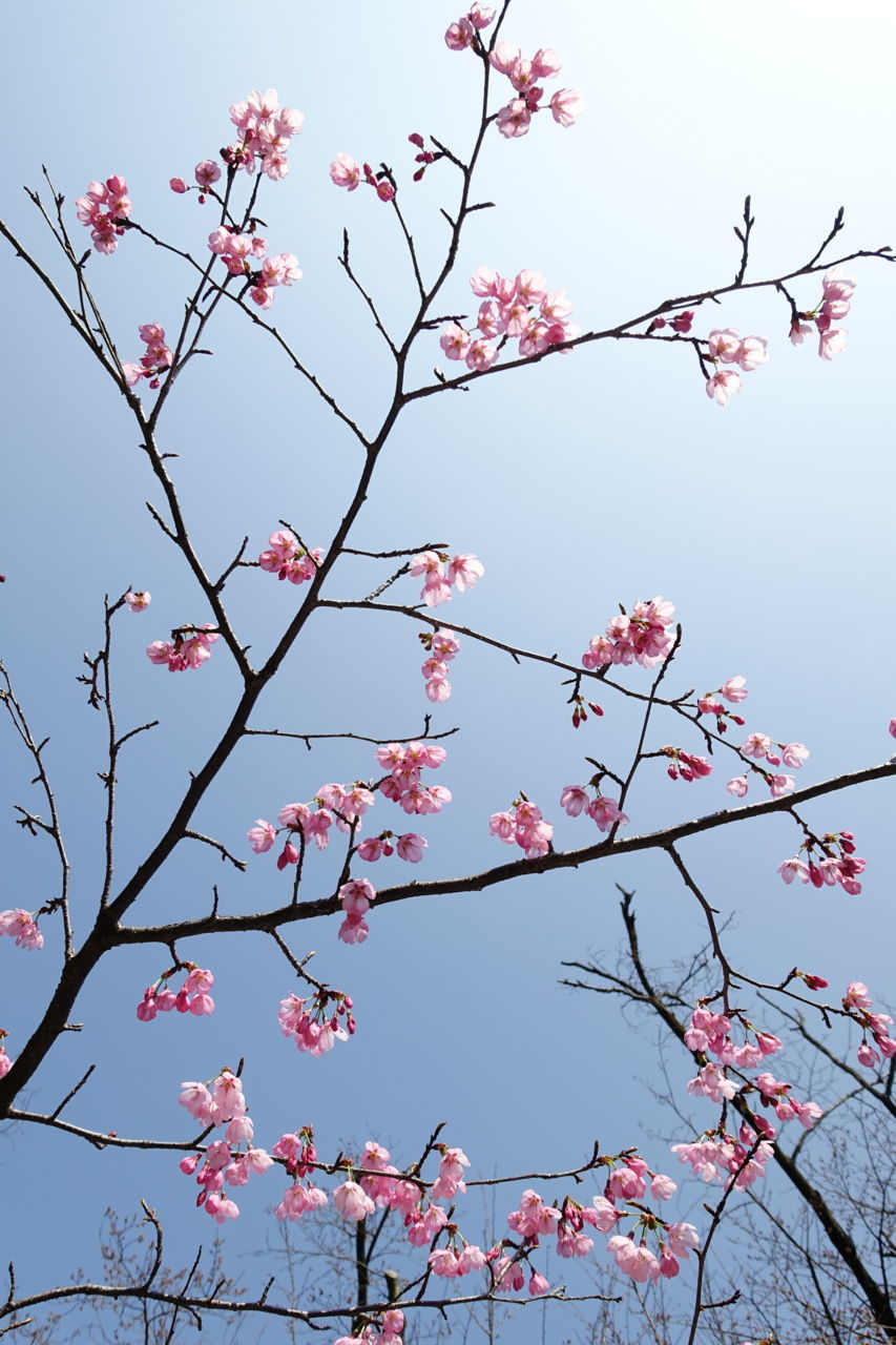 f:id:HIDE_Verdad:20180324233402j:plain