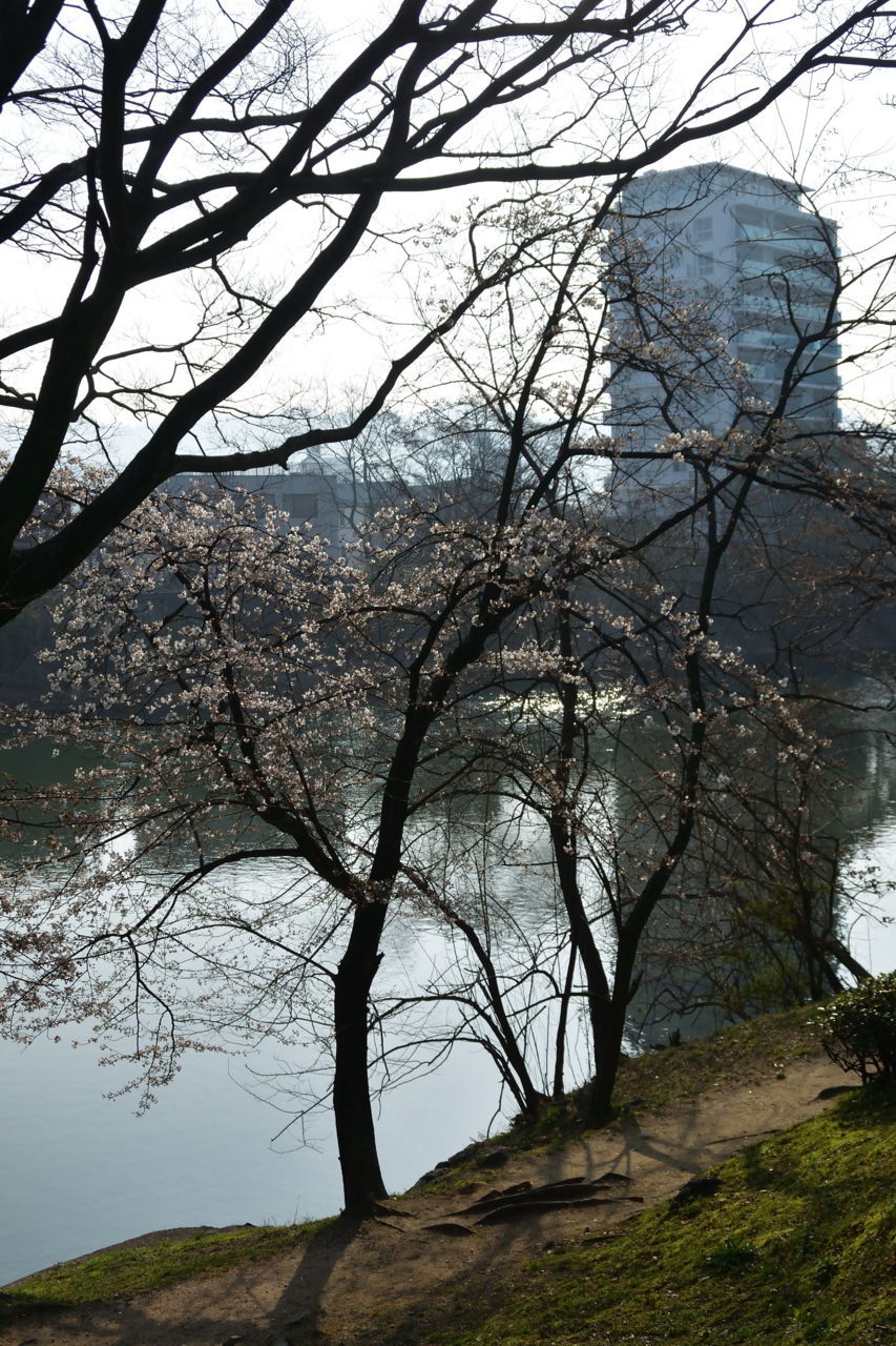 f:id:HIDE_Verdad:20180326233543j:plain