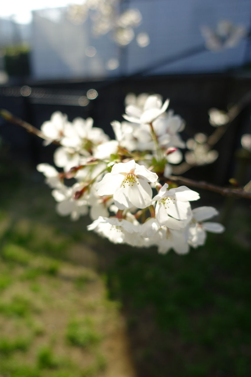 f:id:HIDE_Verdad:20180327232433j:plain