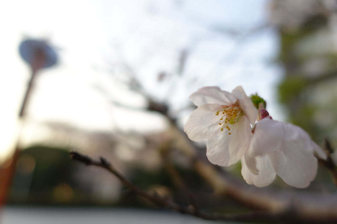 f:id:HIDE_Verdad:20180327232442j:plain