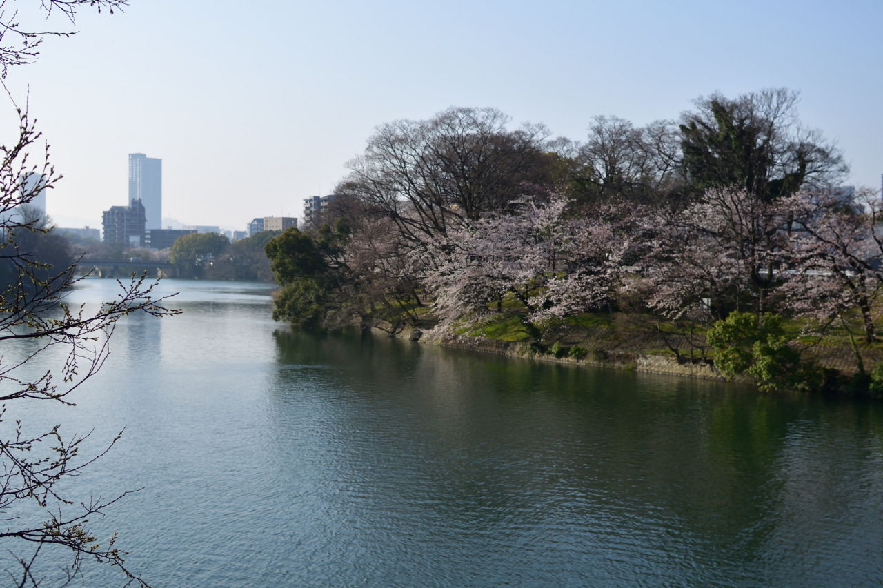 f:id:HIDE_Verdad:20180328231303j:plain