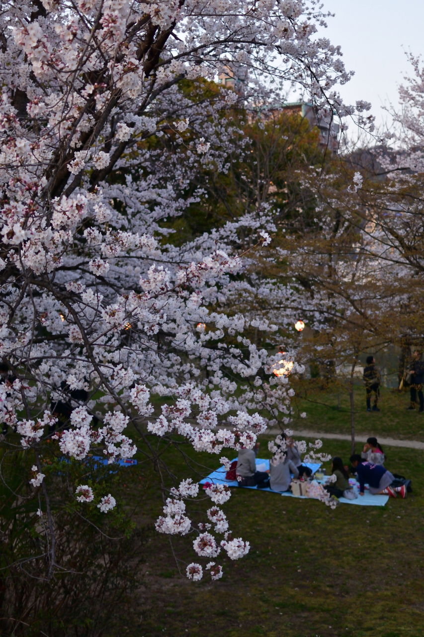 f:id:HIDE_Verdad:20180328231310j:plain