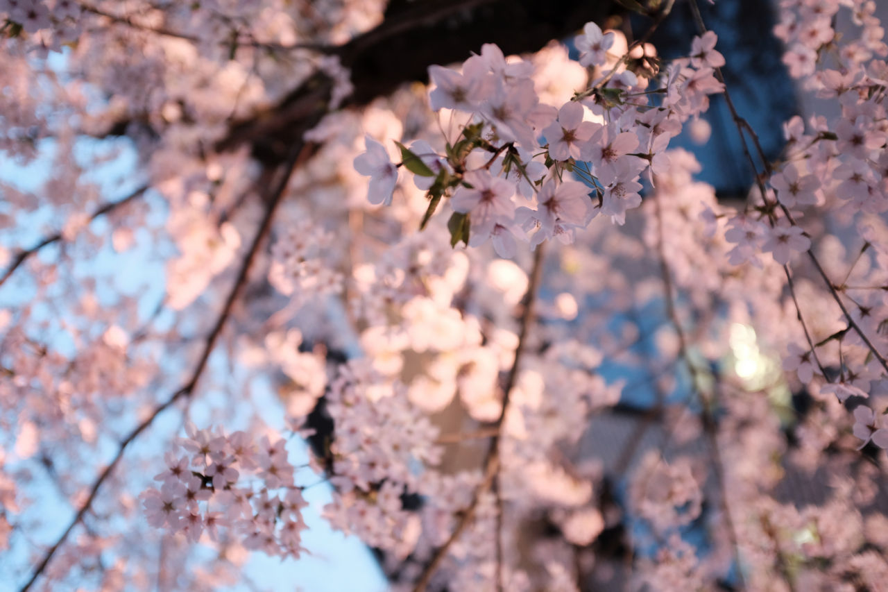 f:id:HIDE_Verdad:20180330000438j:plain