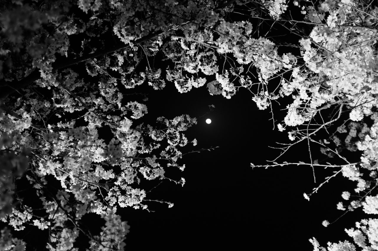 f:id:HIDE_Verdad:20180330000448j:plain