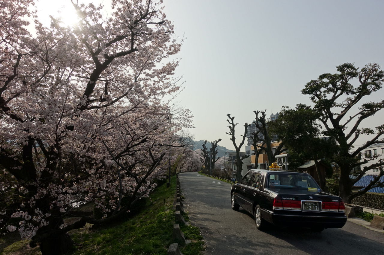 f:id:HIDE_Verdad:20180402234712j:plain