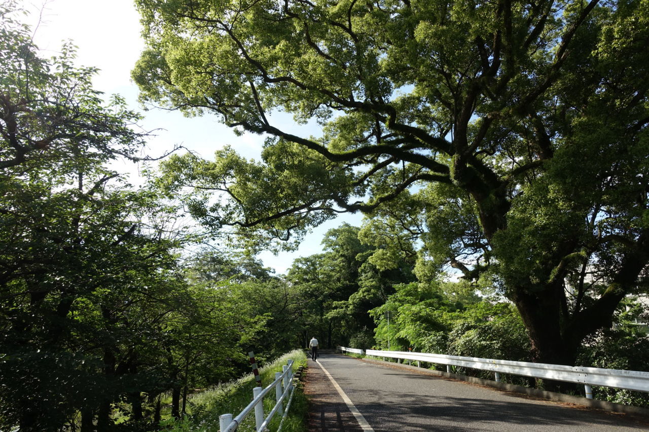f:id:HIDE_Verdad:20180702223725j:plain