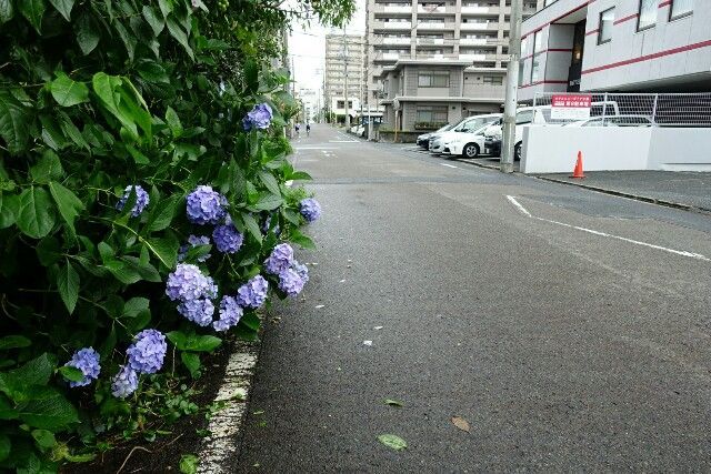 f:id:HIDE_Verdad:20180704230122j:image