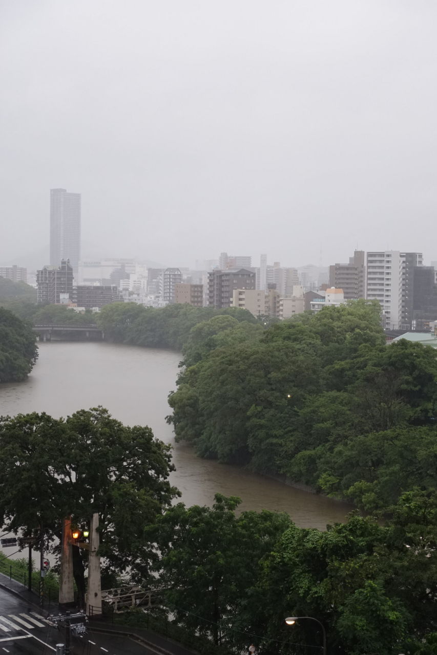 f:id:HIDE_Verdad:20180706225628j:plain