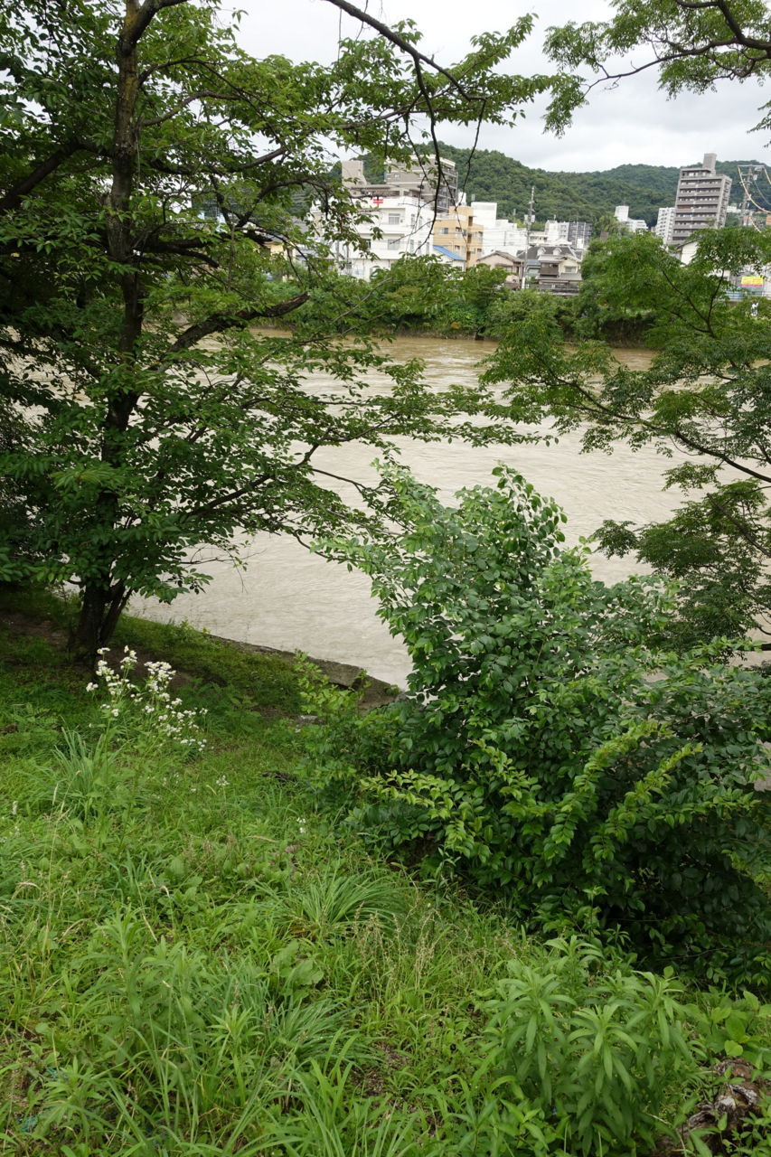 f:id:HIDE_Verdad:20180707230105j:plain