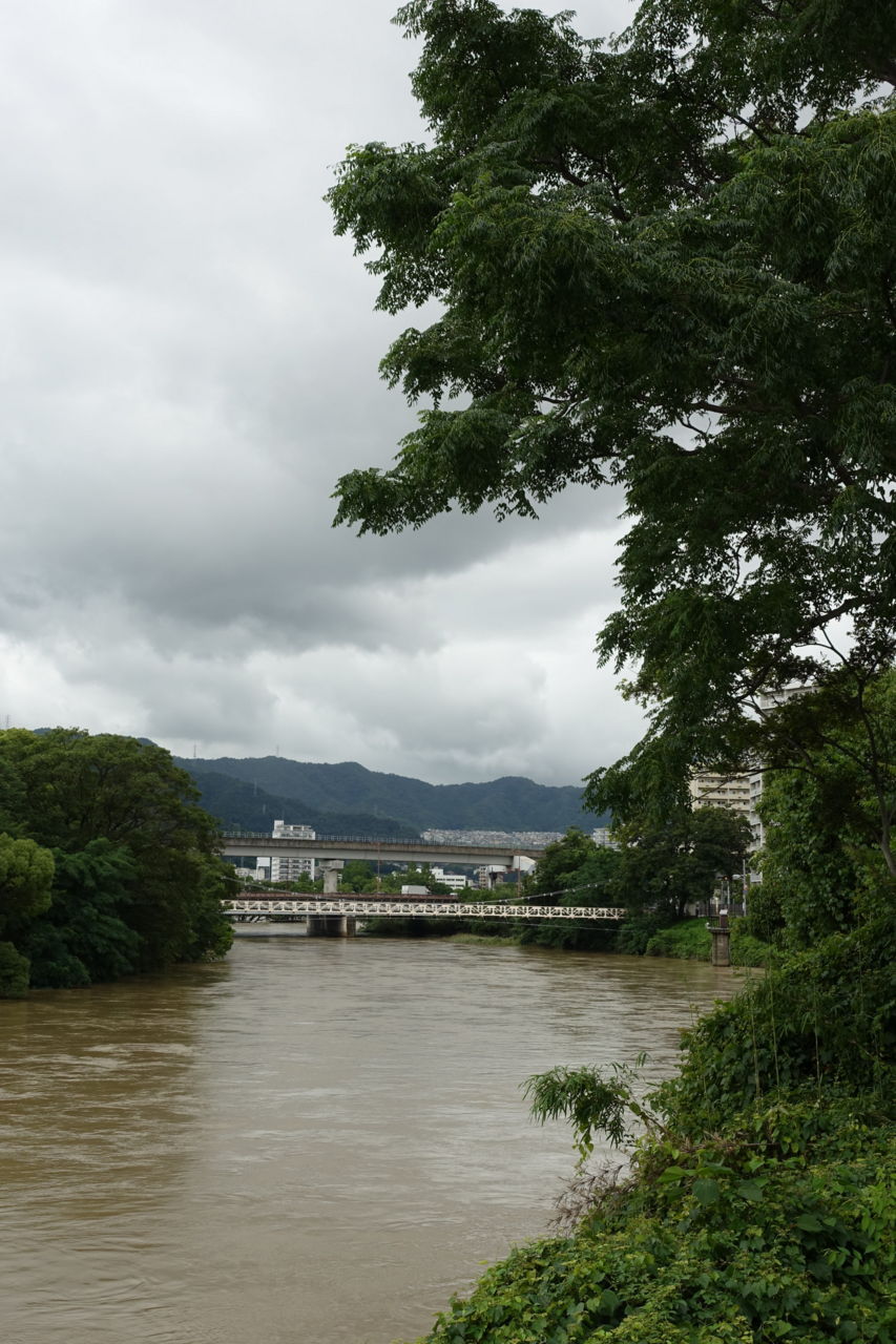 f:id:HIDE_Verdad:20180707230110j:plain