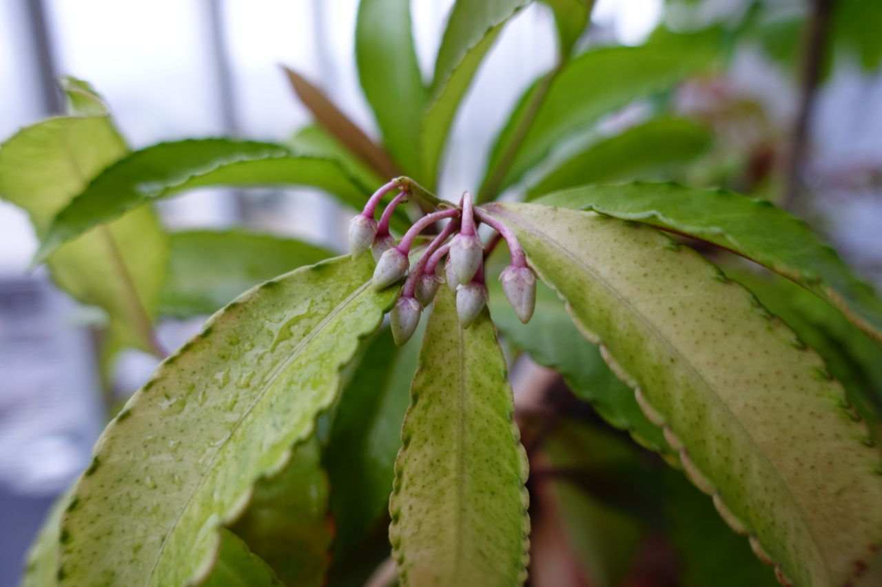 f:id:HIDE_Verdad:20180708231507j:plain