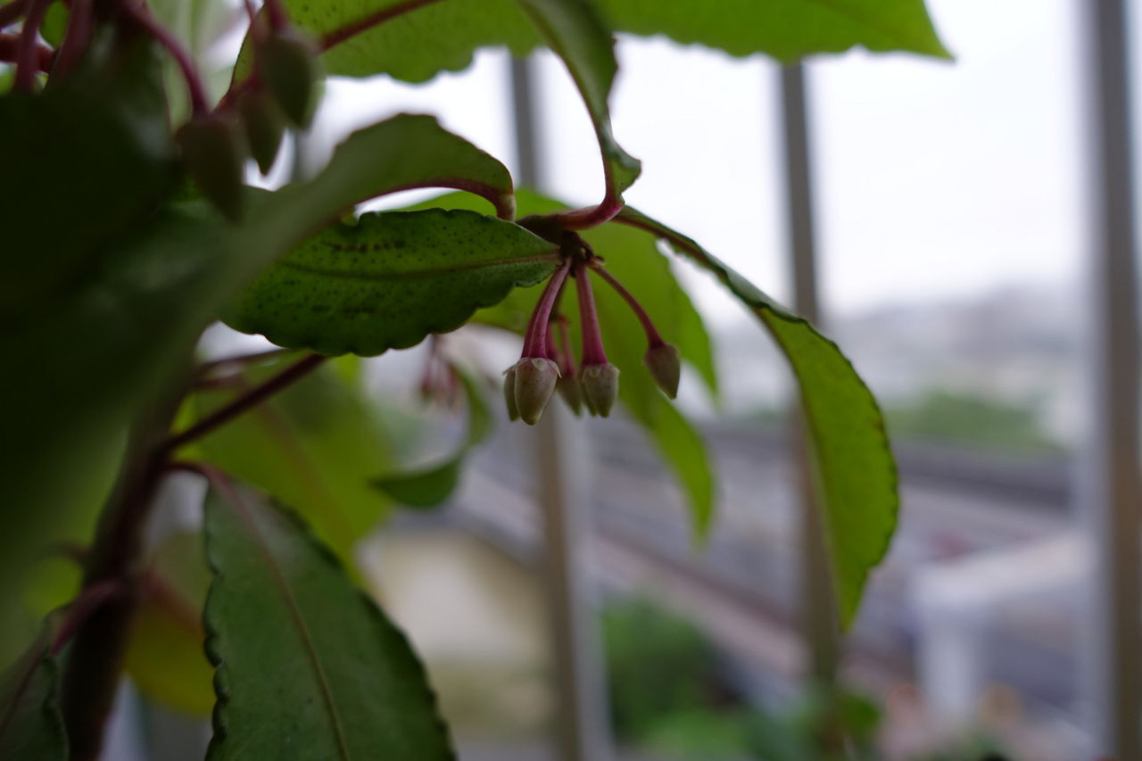 f:id:HIDE_Verdad:20180708231509j:plain