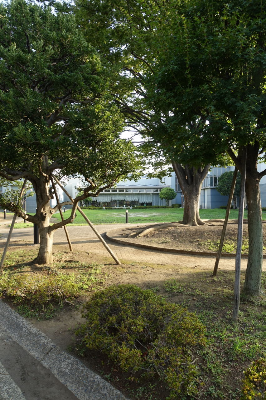 f:id:HIDE_Verdad:20180727234450j:plain