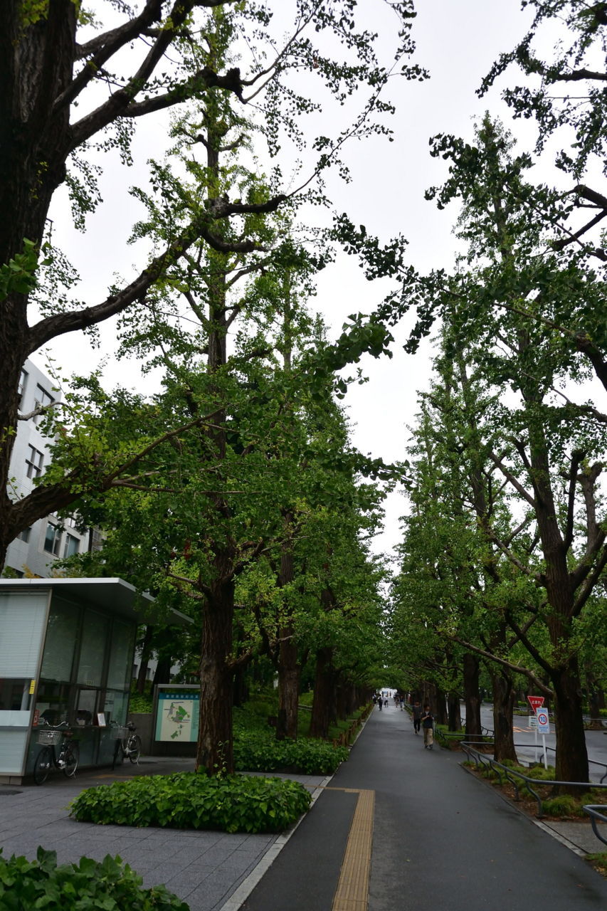 f:id:HIDE_Verdad:20180728224101j:plain