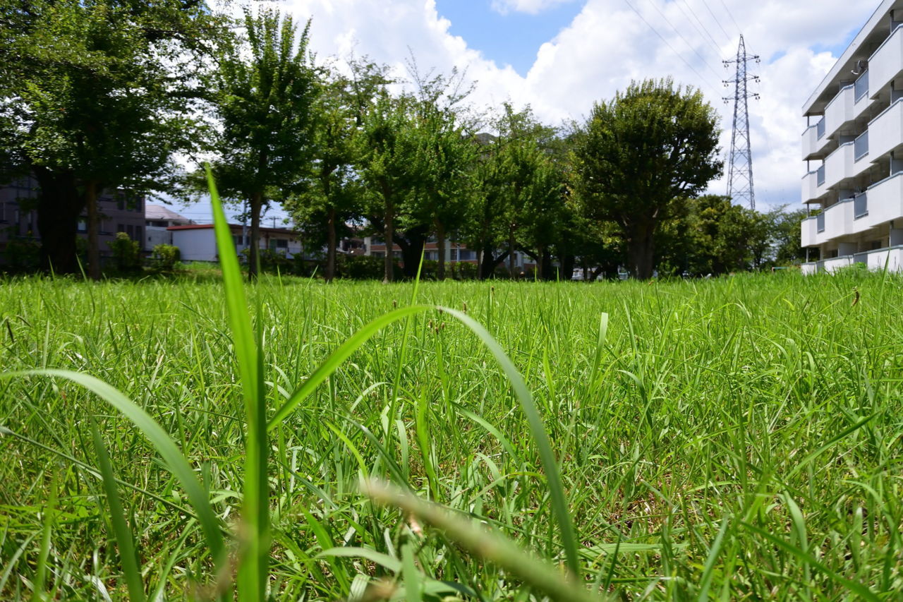f:id:HIDE_Verdad:20180730010005j:plain