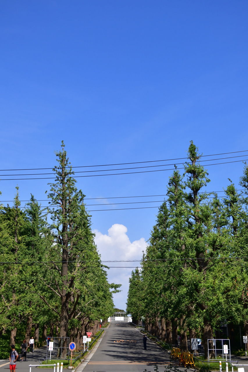 f:id:HIDE_Verdad:20180730010009j:plain