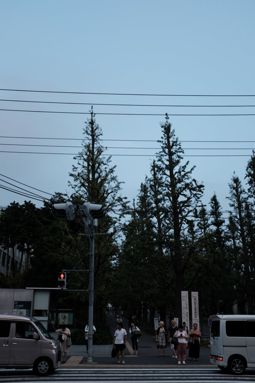 f:id:HIDE_Verdad:20180806221215j:plain