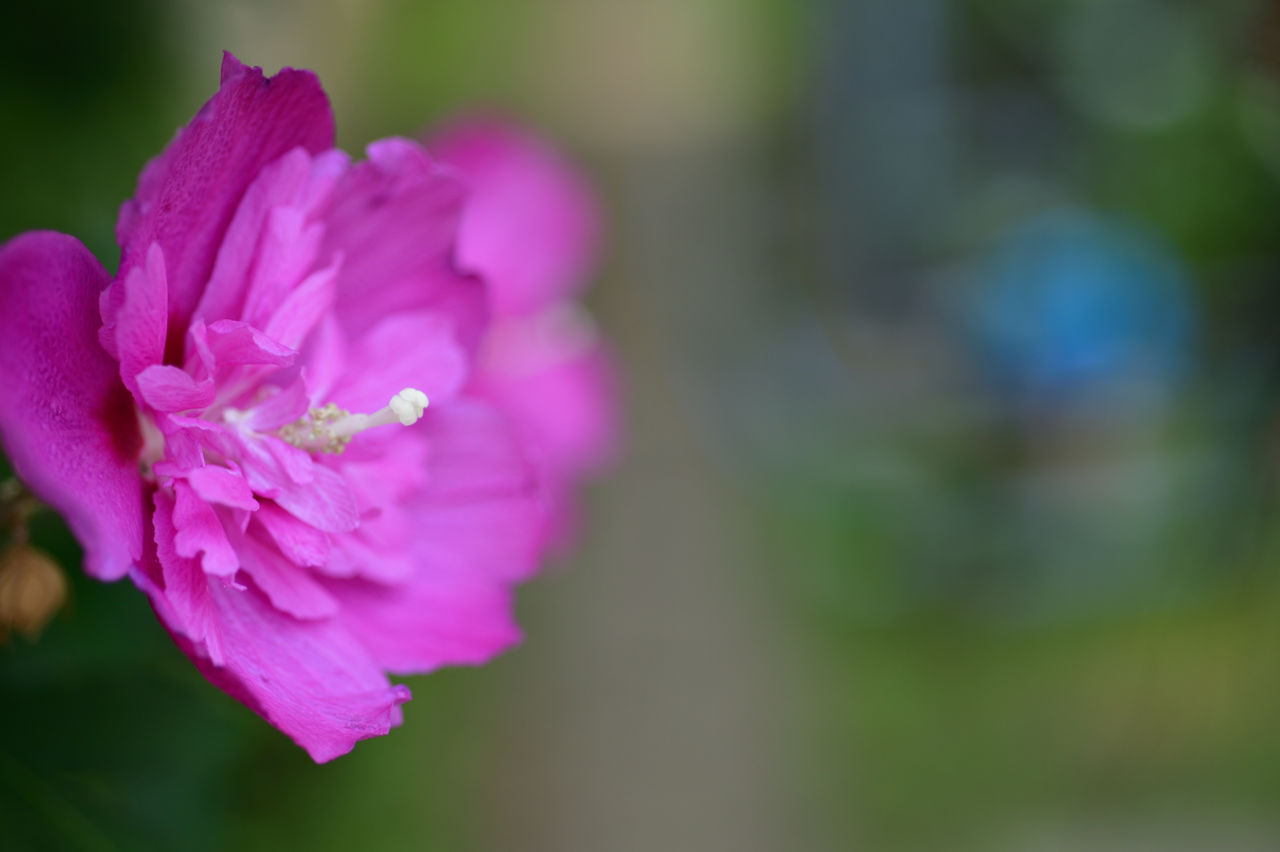 f:id:HIDE_Verdad:20180806221223j:plain