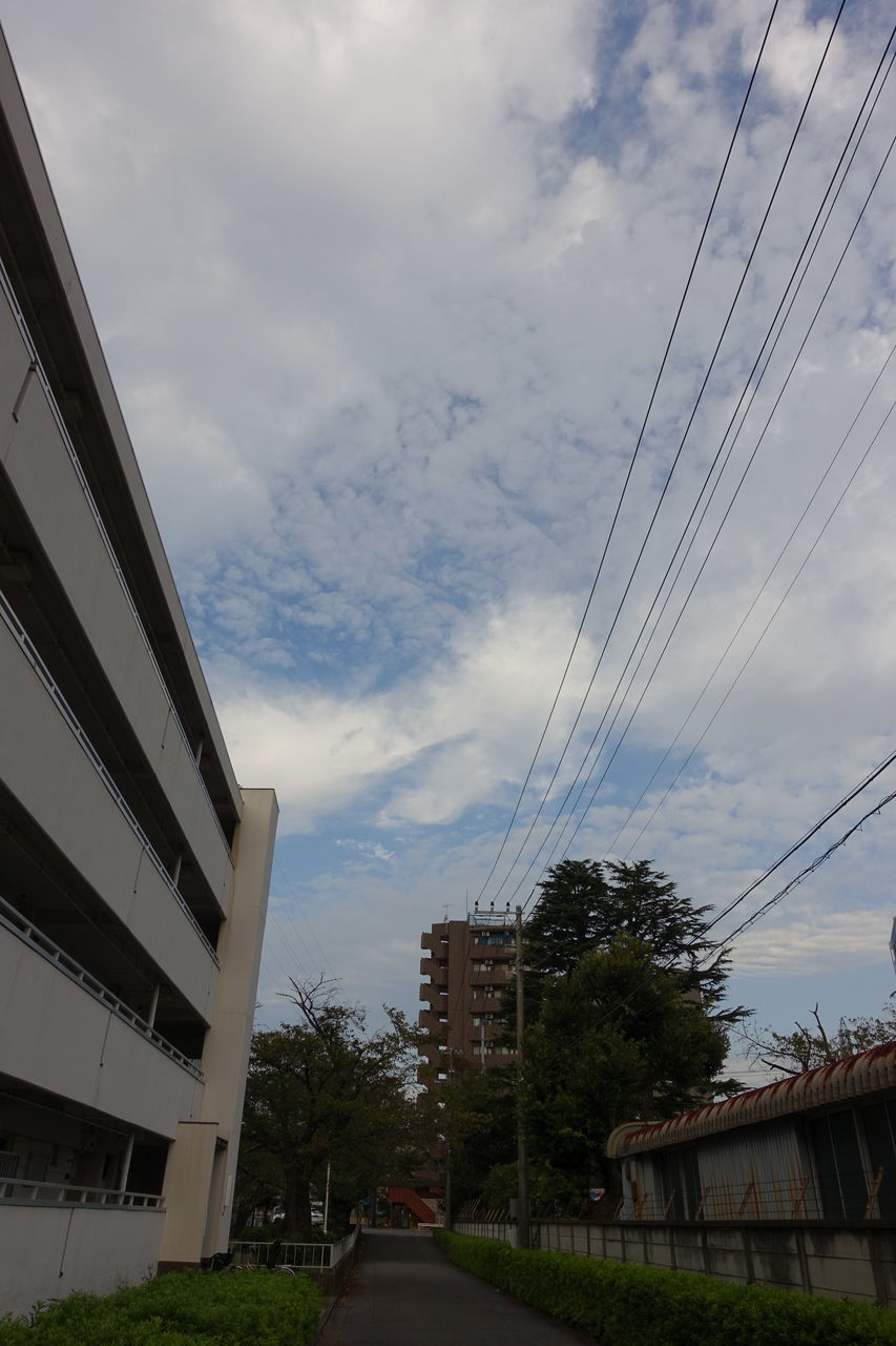 f:id:HIDE_Verdad:20181003231944j:plain