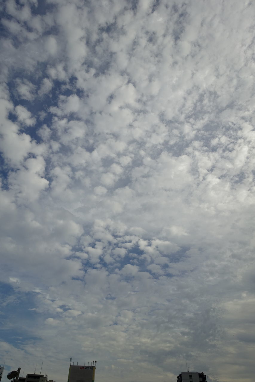 f:id:HIDE_Verdad:20181003232022j:plain