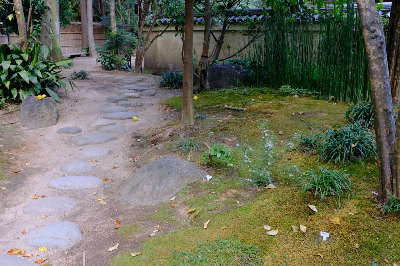 f:id:HIDE_Verdad:20181009215458j:plain