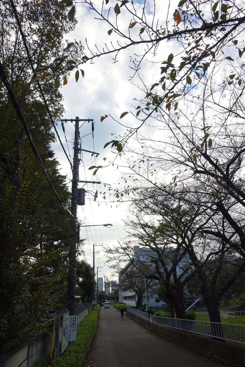 f:id:HIDE_Verdad:20181019223253j:plain