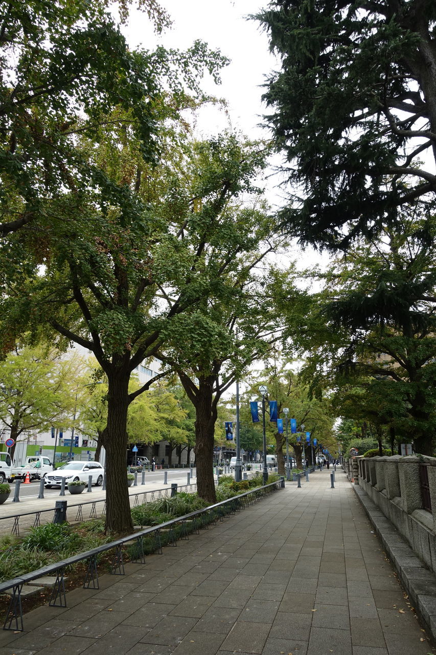 f:id:HIDE_Verdad:20181024225836j:plain