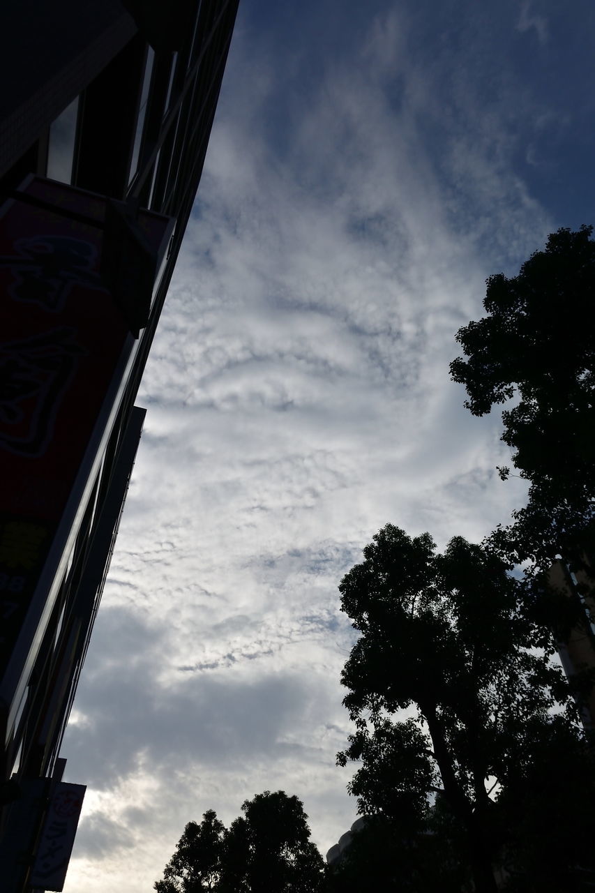 f:id:HIDE_Verdad:20181031230502j:plain