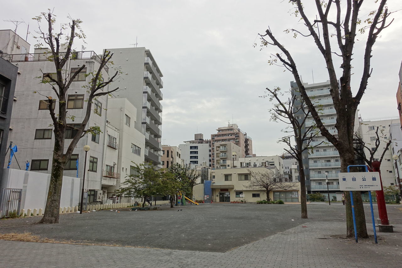 f:id:HIDE_Verdad:20181119223513j:plain