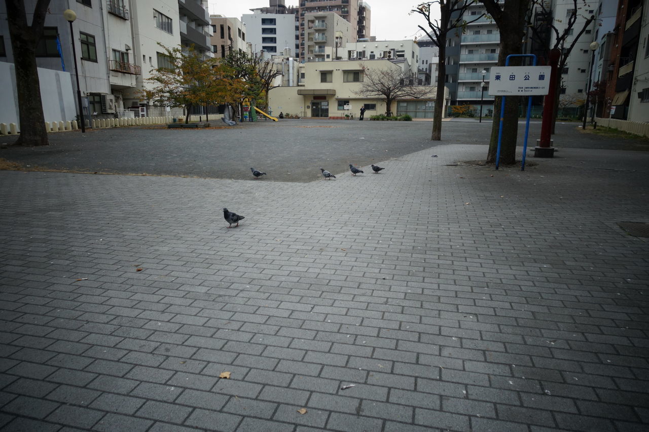 f:id:HIDE_Verdad:20181204225232j:plain