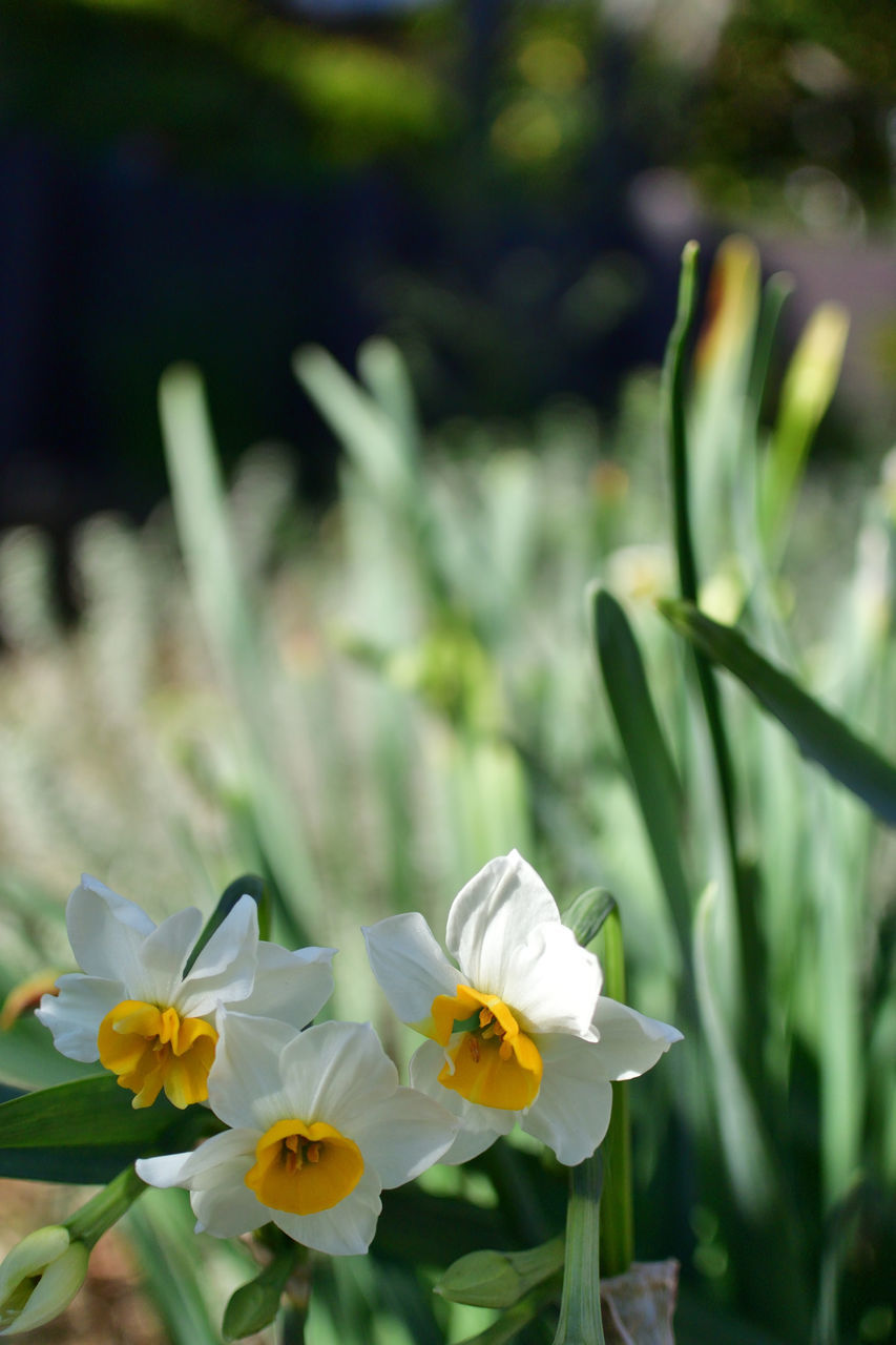 f:id:HIDE_Verdad:20181215232136j:plain f:id:HIDE_Verdad:20181215232136j:plain