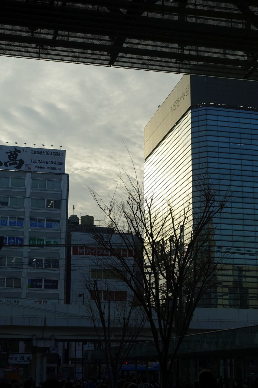 f:id:HIDE_Verdad:20190221001304j:plain