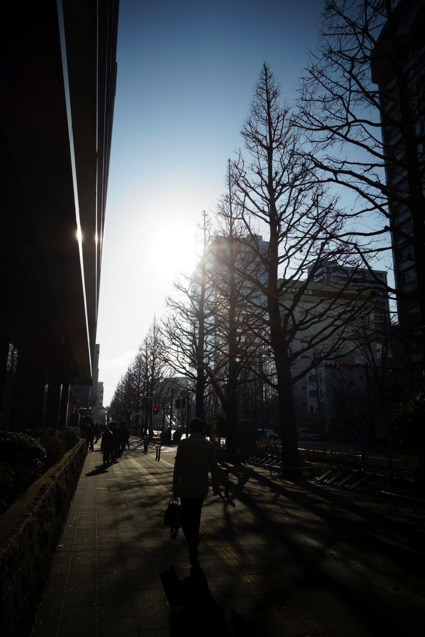 f:id:HIDE_Verdad:20190305220312j:plain