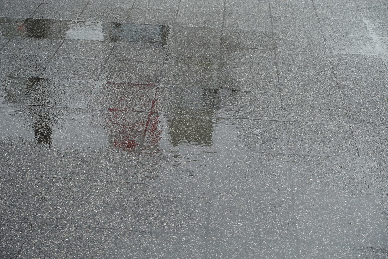 f:id:HIDE_Verdad:20190307223056j:plain