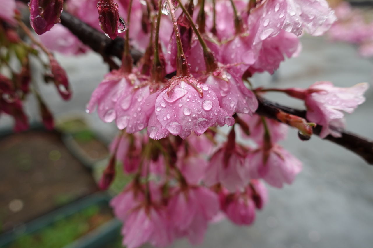 f:id:HIDE_Verdad:20190307223129j:plain