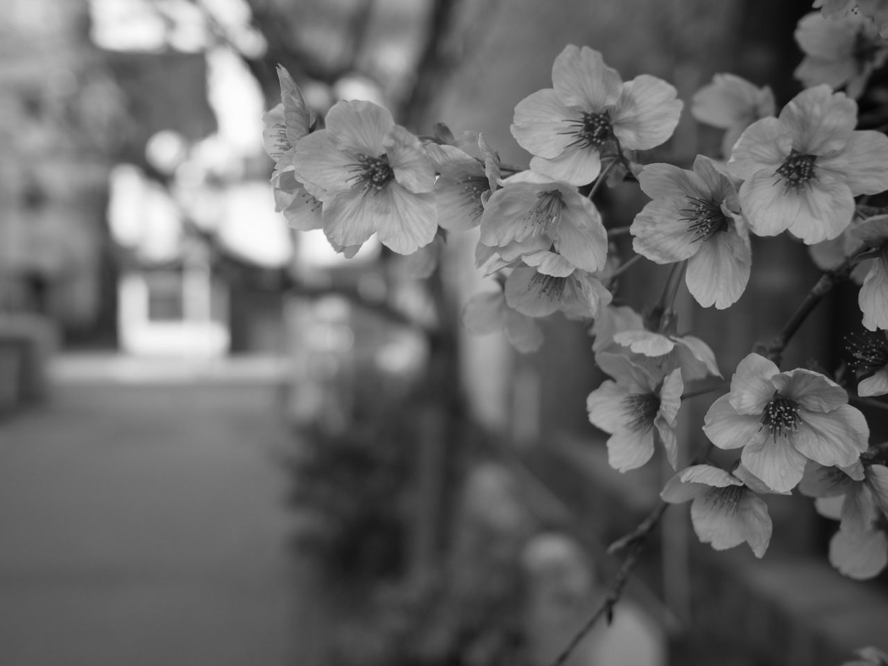 f:id:HIDE_Verdad:20190322222603j:plain